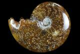 Polished, Agatized Ammonite (Cleoniceras) - Madagascar #97226-1
